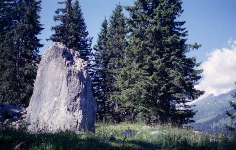 Kraftort Rosenlaui